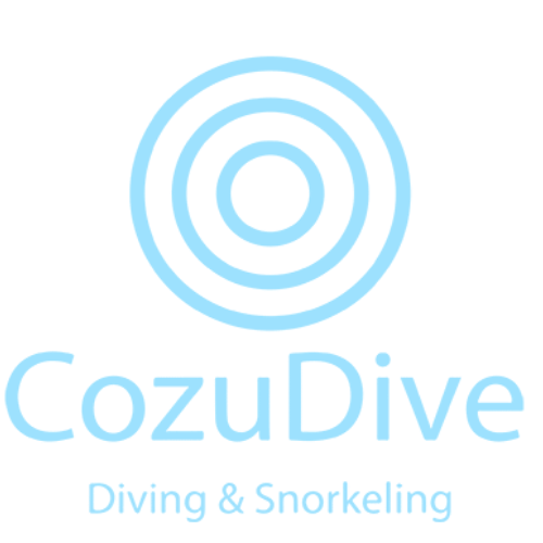 cozu dive